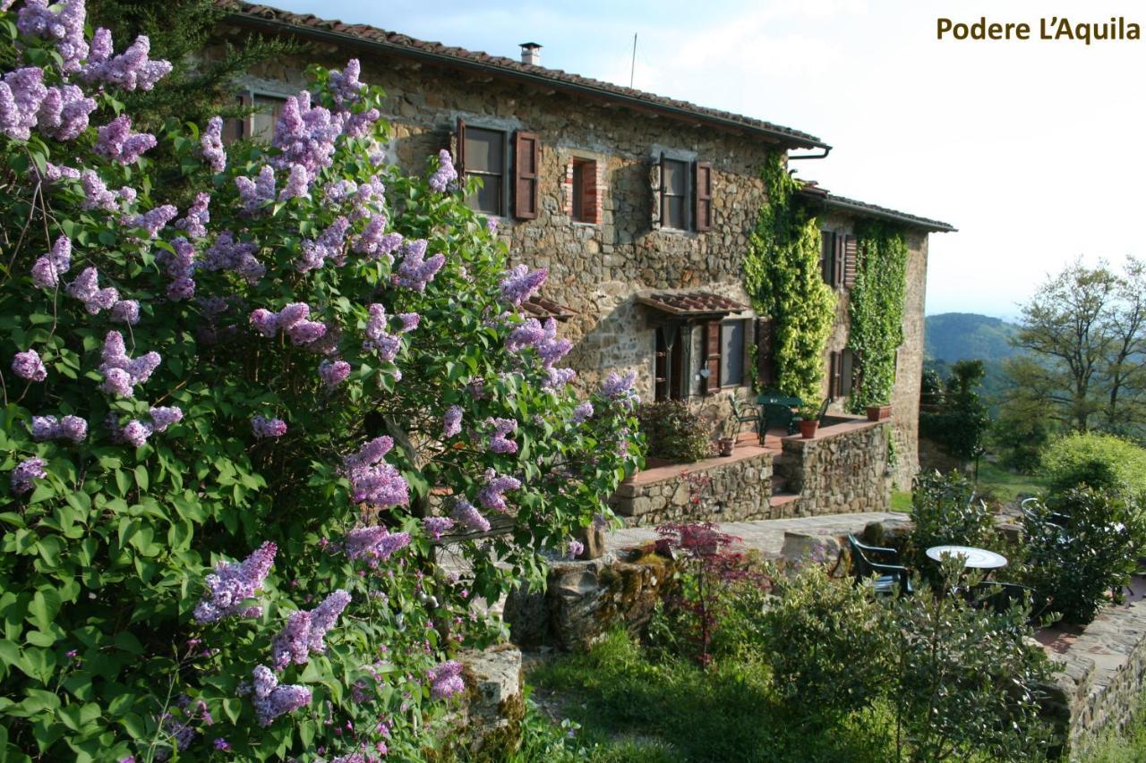 Podere L'Aquila Gaiole in Chianti Εξωτερικό φωτογραφία
