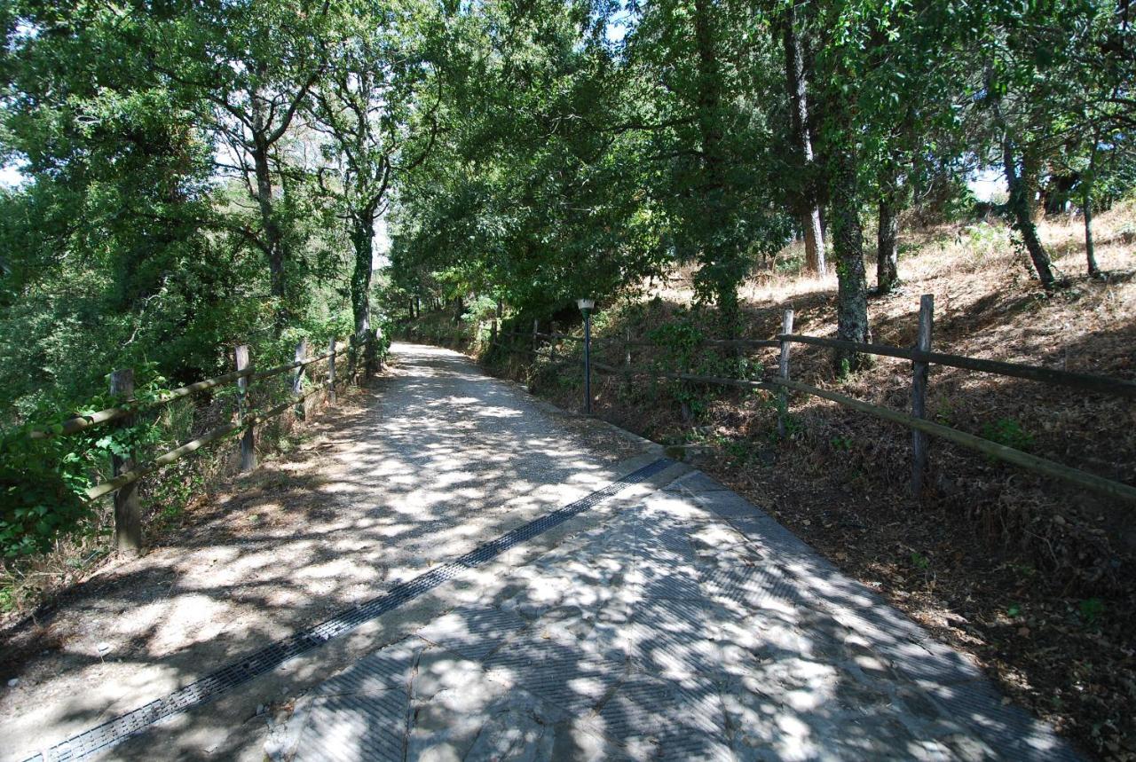 Podere L'Aquila Gaiole in Chianti Εξωτερικό φωτογραφία