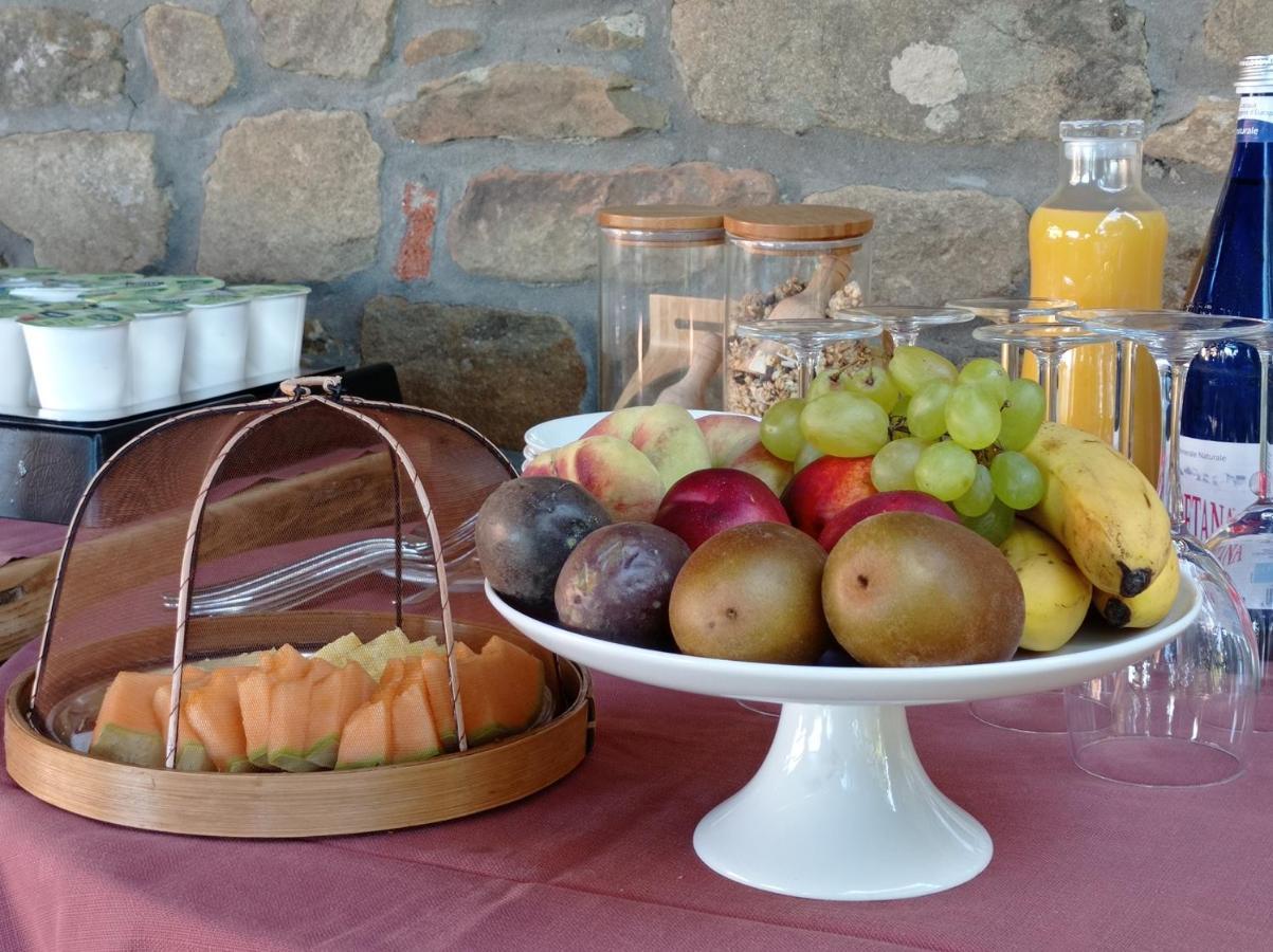 Podere L'Aquila Gaiole in Chianti Εξωτερικό φωτογραφία