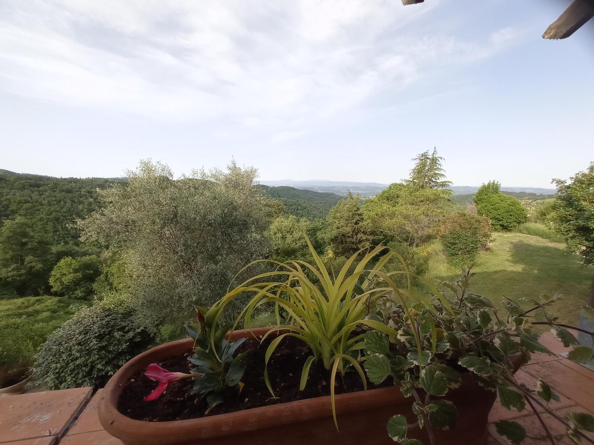 Podere L'Aquila Gaiole in Chianti Δωμάτιο φωτογραφία